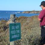 cambria2012CN_0089 (November 04, 2012)